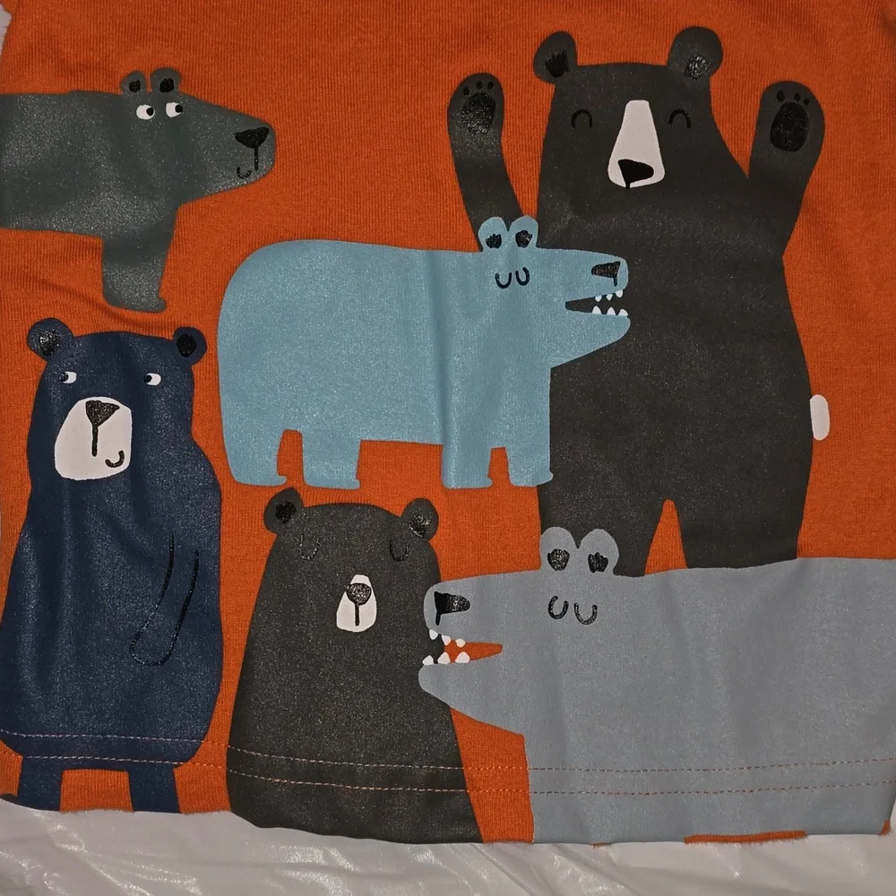 Carter's Kids Bear Tee Shirt 24 Months